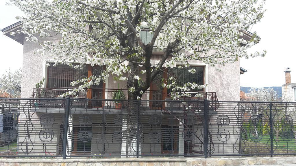 Kyurkchievi Guest House Saparewa Banja Exterior foto