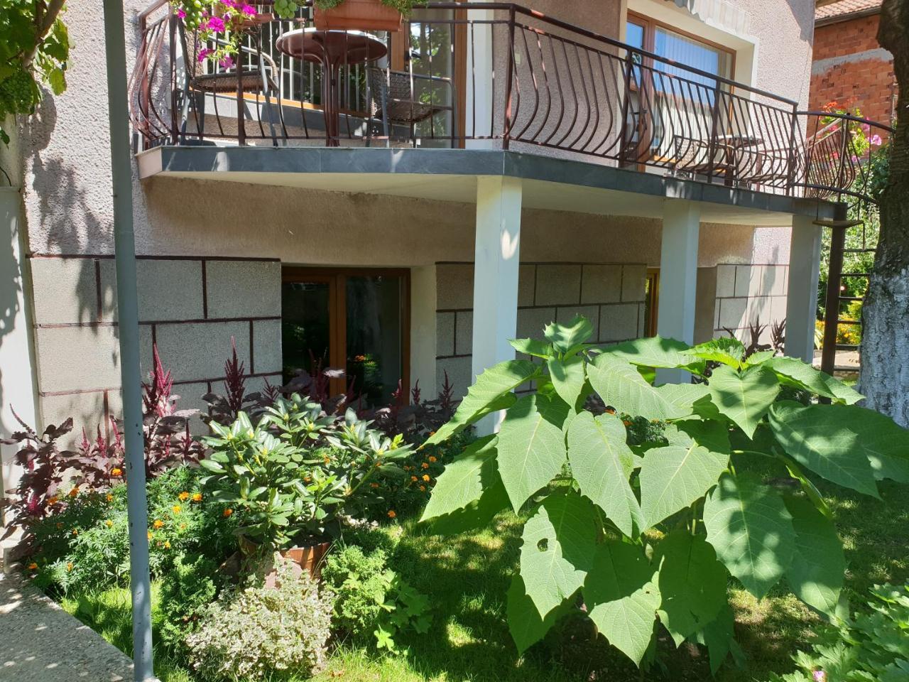 Kyurkchievi Guest House Saparewa Banja Exterior foto