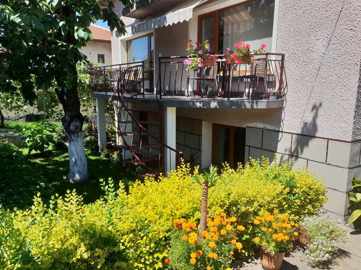Kyurkchievi Guest House Saparewa Banja Exterior foto