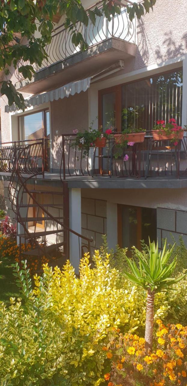 Kyurkchievi Guest House Saparewa Banja Exterior foto